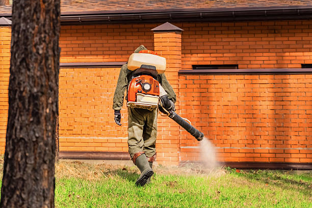 Bed Bug Clearance Verification and Documentation in Minerva Park